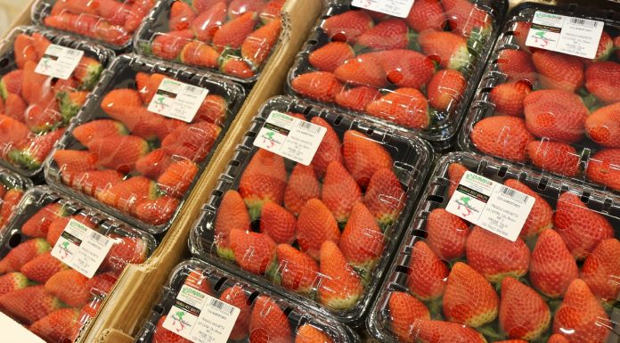 Światowa produkcja i handel truskawką. Przegląd sytuacji na przełomie kwietnia i maja, cz. 1 – Europa