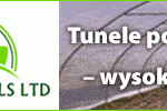 wdk_tunnels_kwiecienopt