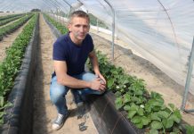 Odmiany Allegro i FE1711 w projekcie – do zobaczenia już 8 maja