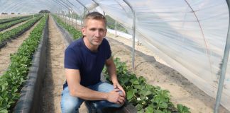 Odmiany Allegro i FE1711 w projekcie – do zobaczenia już 8 maja