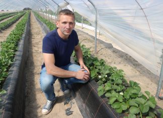 Odmiany Allegro i FE1711 w projekcie – do zobaczenia już 8 maja