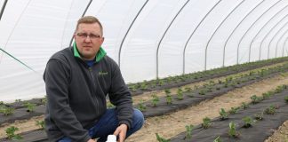 Osiem odmian truskawek i nawożenie z firmy Intermag