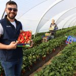 IMG_8508huelva_strawberry