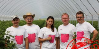 Poszukiwany, poszukiwana! Dołącz do naszego zespołu!