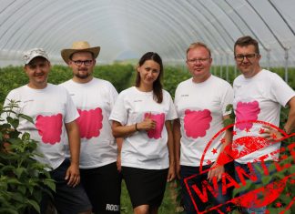 Poszukiwany, poszukiwana! Dołącz do naszego zespołu!
