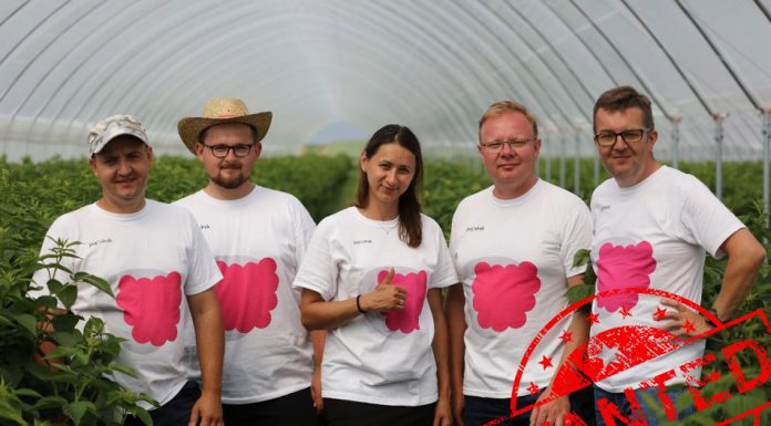 Poszukiwany, poszukiwana! Dołącz do naszego zespołu!