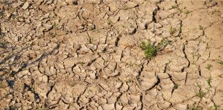 Rusza nabór wniosków dla poszkodowanych rolników w wyniku klęsk żywiołowych