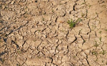 Nawadnianie upraw podczas suszy