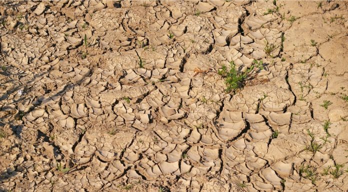 Nawadnianie upraw podczas suszy