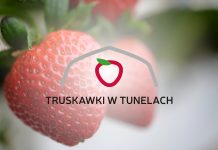 Projekt „Truskawki w tunelach” – pierwsze spotkanie już 8 maja