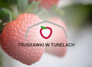 Projekt „Truskawki w tunelach” – pierwsze spotkanie już 8 maja