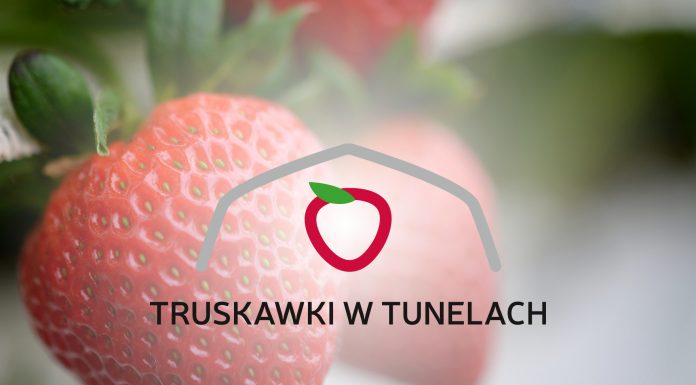 Projekt „Truskawki w tunelach” – pierwsze spotkanie już 8 maja