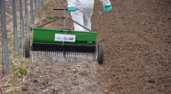 Przygotowanie gleby pod nowe nasadzenia