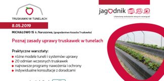 Truskawki w Tunelach – Michałowo k. Naruszewa