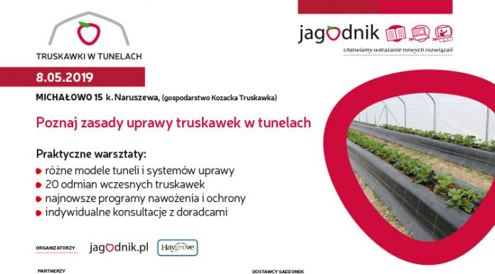 Truskawki w Tunelach – Michałowo k. Naruszewa