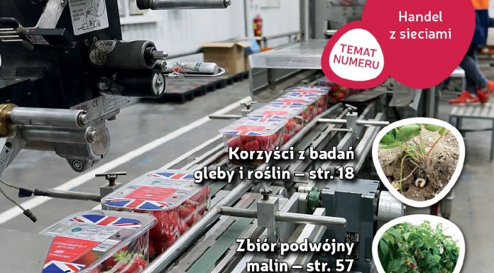 Jagodnik 4/2019 już w sprzedaży!