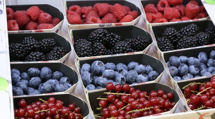 Opakowania na owoce czyste i w pełni przetwarzalne