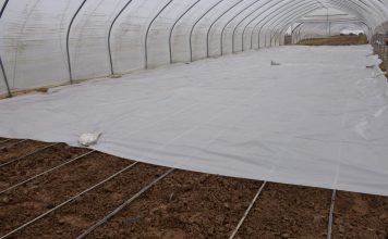 Odbiór folii rolniczej – dobry przykład z Czerwińska