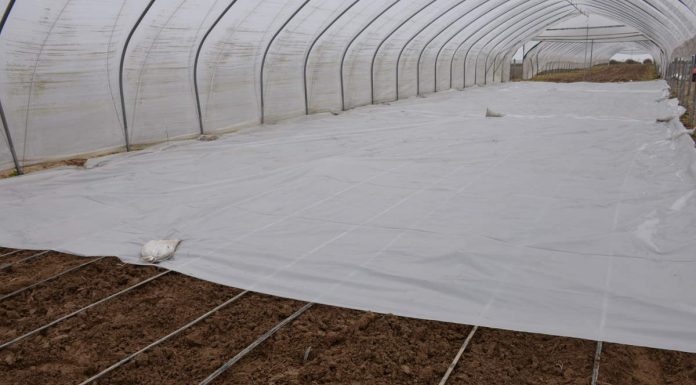 Odbiór folii rolniczej – dobry przykład z Czerwińska