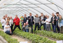 Truskawki w tunelach – pierwsze warsztaty