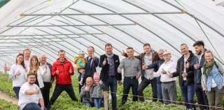 Truskawki w tunelach – pierwsze warsztaty