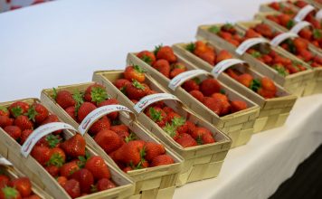 Nawozy Intermag w żywieniu truskawek