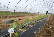 Malinowe Warsztaty 2019