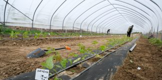 Malinowe Warsztaty 2019