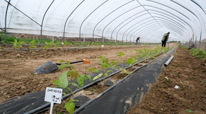 Malinowe Warsztaty 2019