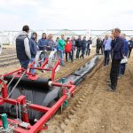 IMG_9309truskawka_t_w_t_warsztaty