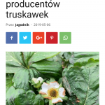 Majowe przymrozki