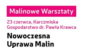MALINOWE WARSZTATY – Nowoczesna Uprawa Malin