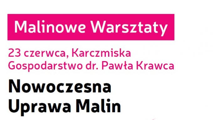 MALINOWE WARSZTATY – Nowoczesna Uprawa Malin