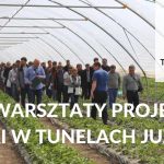 TwT_newsletter