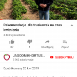 YouTube_newsletter