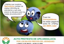 Hiszpańscy producenci borówki będą protestować 