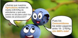 Hiszpańscy producenci borówki będą protestować 