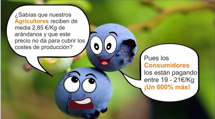 Hiszpańscy producenci borówki będą protestować 