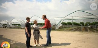 Truskawki w programie „Dzień dobry TVN”