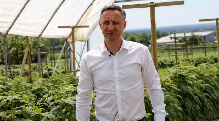 Malinowe Warsztaty 2019 – fertygacja nie musi być trudna. FILM