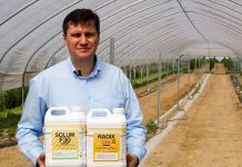 Malinowe Warsztaty 2019 – Jak poprawić żyzność gleby?