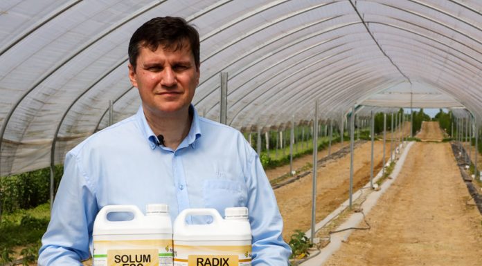 Malinowe Warsztaty 2019 – Jak poprawić żyzność gleby?