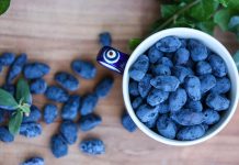 Jagoda kamczacka – superowoc, ale gdzie go sprzedać?