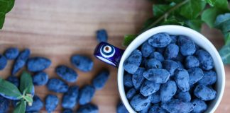 Jagoda kamczacka – superowoc, ale gdzie go sprzedać?