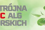 Agrosimex_Maral_banner_750x100_24-04-2019