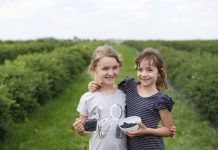 Czas na jagodę kamczacką!