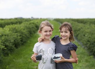 Czas na jagodę kamczacką!