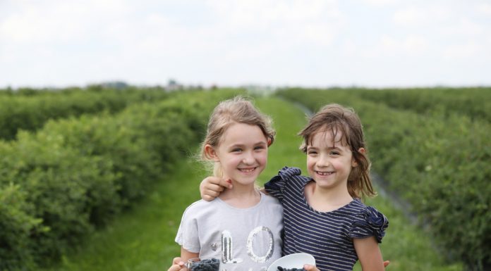 Czas na jagodę kamczacką!