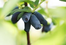 Jak skorzystać z promocji w 2022 roku?