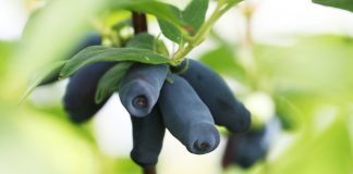 Jak skorzystać z promocji w 2022 roku?